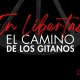 XXIV Bienal de Flamenco. ¡En libertad! El camino de los gitanos. Marina Heredia + Real Orquesta Sinfónica de Sevilla