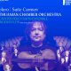 Bolero / Suite Carmen – Lithuanian Chamber Orch.