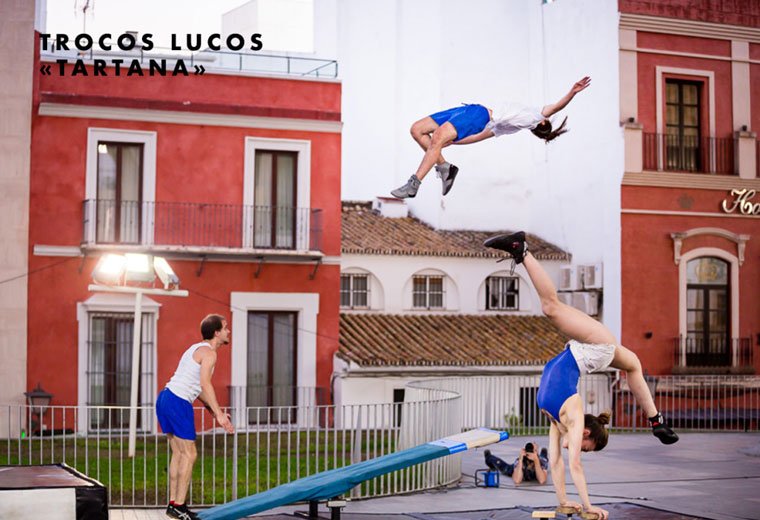 Troncos Lucos